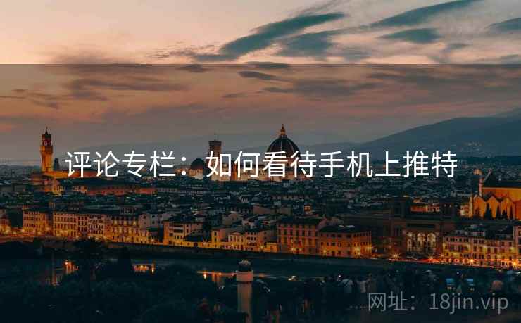 评论专栏：如何看待手机上推特