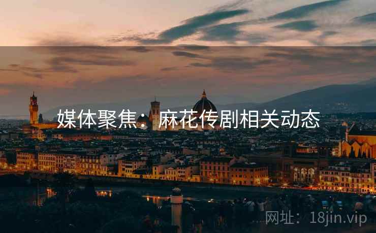 媒体聚焦：麻花传剧相关动态